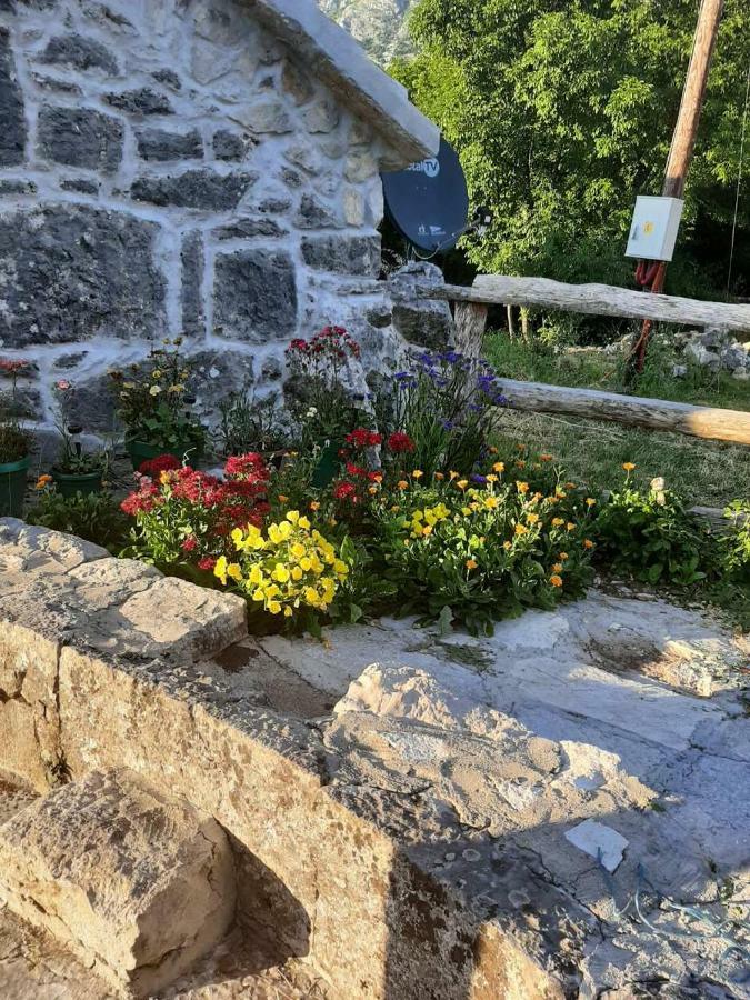 Ethno House Kosic Villa Herceg Novi Eksteriør bilde